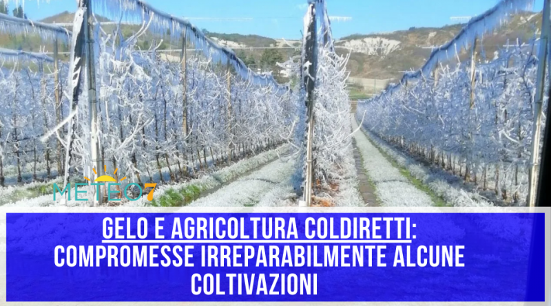 Agricoltura e Gelo COLDIRETTI compromesse irreparabilmente alcune coltivazioni